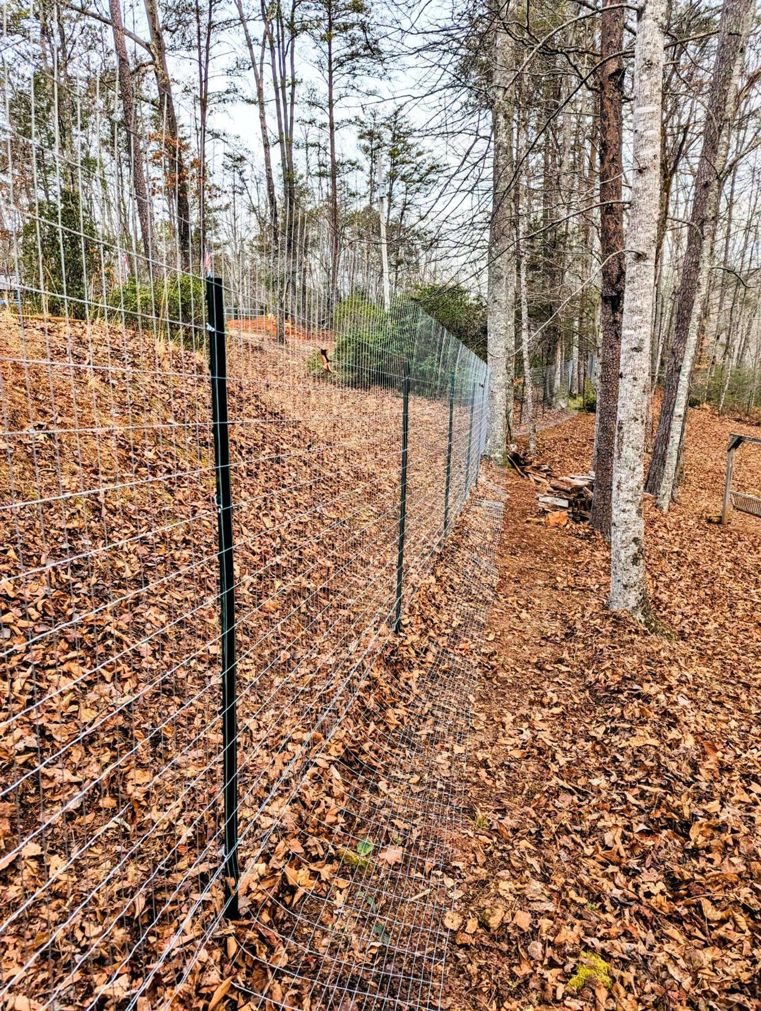 Hidden Hollow Bed And Breakfast Otto Exterior photo